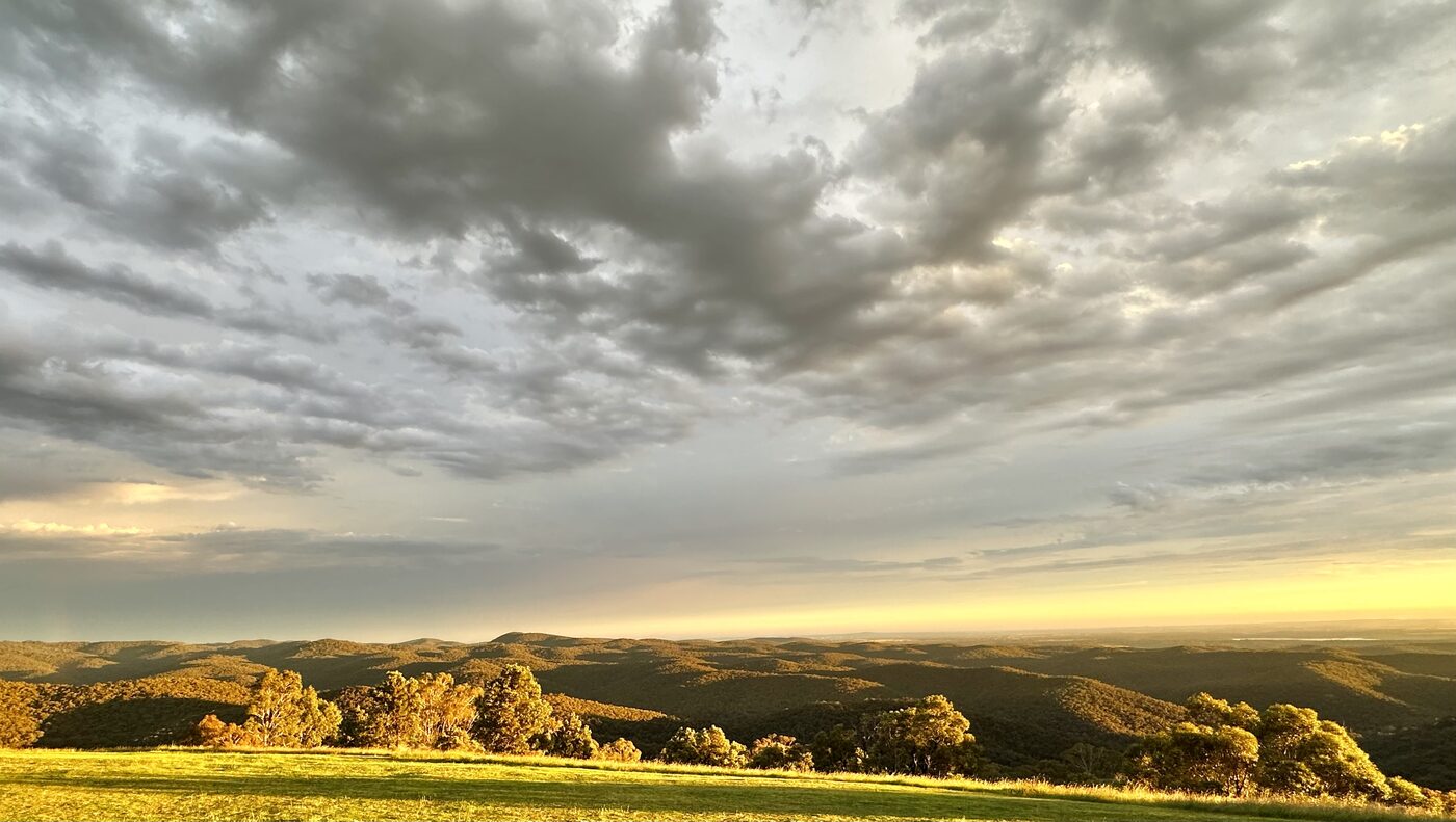 Timber post with volcanic soil profile, Bullengarook