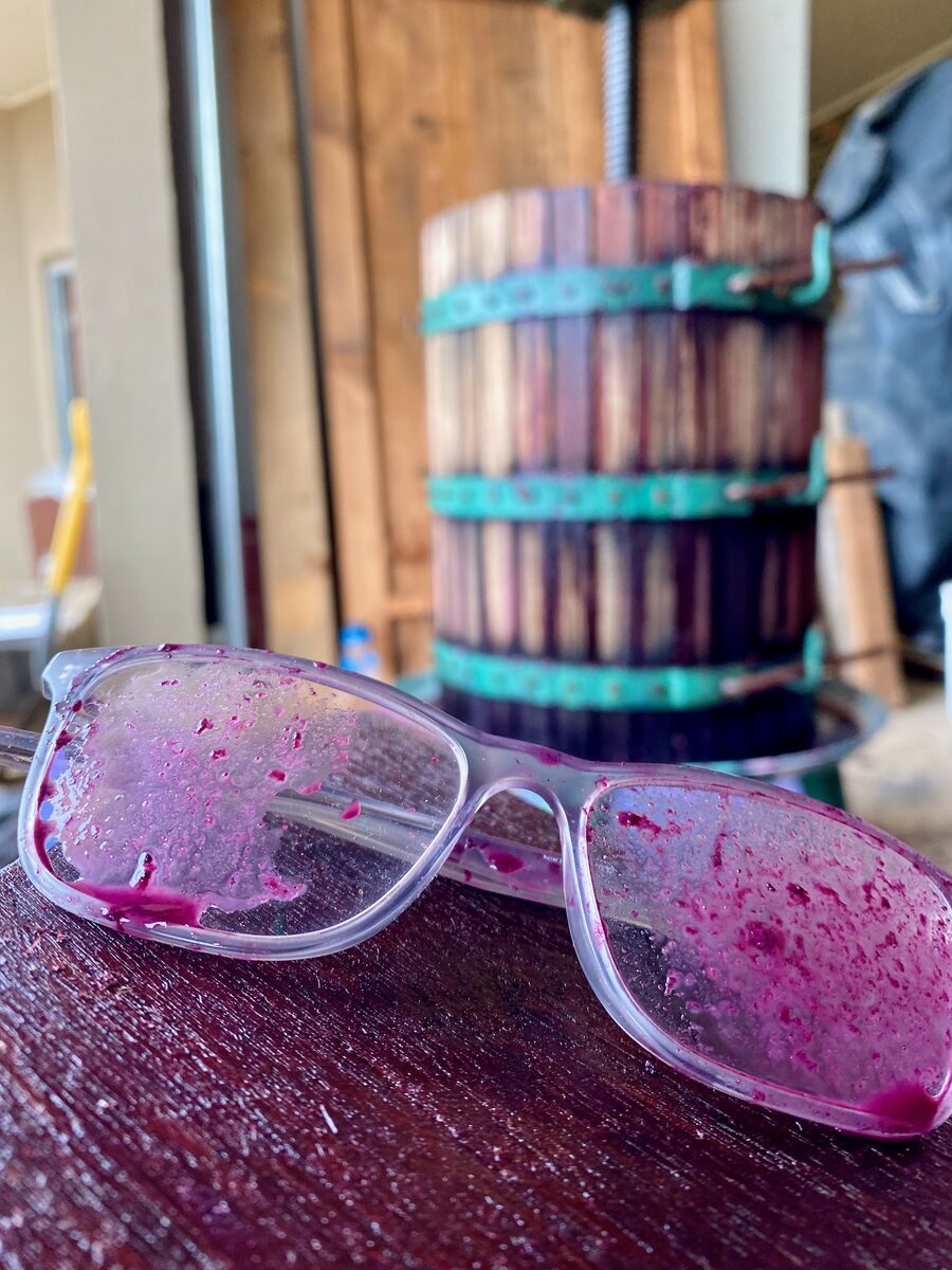 Grape-stained sunglasses by the basket press