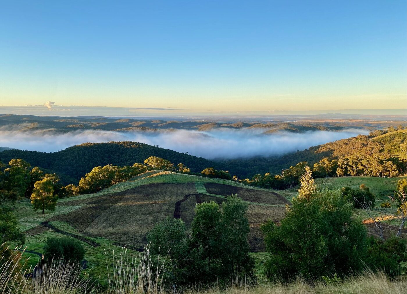 The bottom paddock above the cloud line, Macedon Ranges